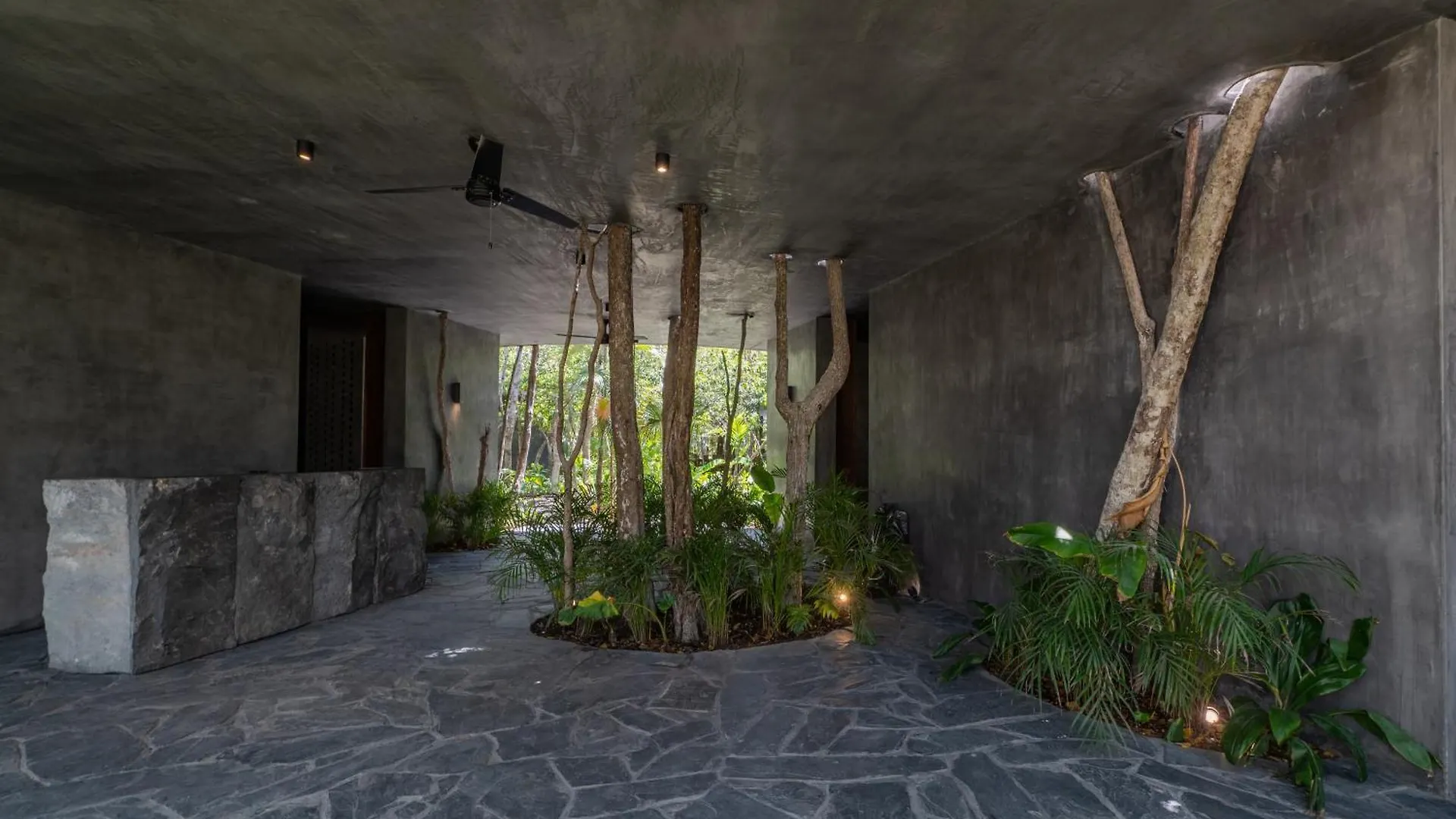 2Br Boho Chic Style Apt In Tulum By Solmar Rentals